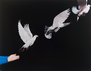 Image description is not available for 2021.007